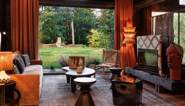 Séjournez à l'hôtel zoo de la flèche : confort et convivialité